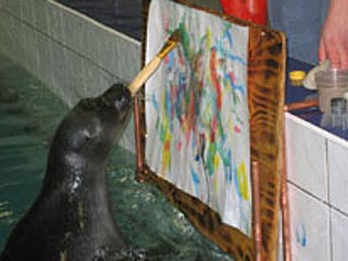 科技时代_世界上唯一能作画的海豹在俄举办画展(图)