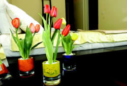 44790_951248.jpg