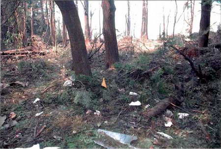 美国法庭公布911恐怖袭击12张新照片(组图)_9