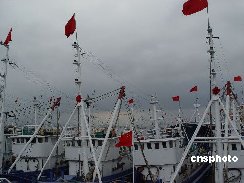 ǿ̨�硰ɺɺ��Ӱ��� ����̨���������������