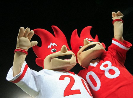 ͼ�ģ�2008��ŷ�ޱ���������������