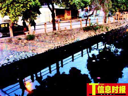 广州女店主被肢解藏冰箱生前嗜赌沉迷麻将(图)