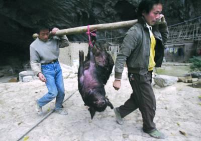 探秘中国最后穴居部落巨大洞穴似世外桃源