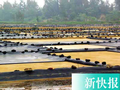 私盐生产内幕揭秘:脏水废料晒出暴利私盐(图)