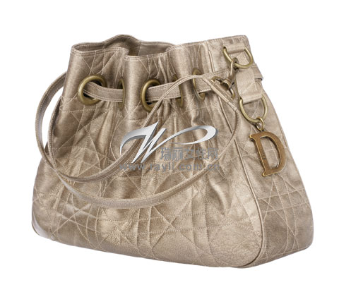 DIOR���������������