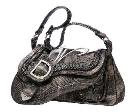 DIOR���������������