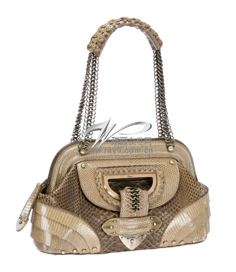 DIOR���������������