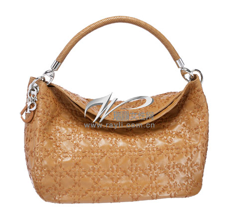 DIOR���������������