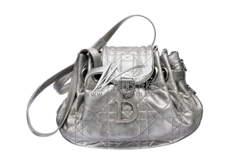 DIOR���������������