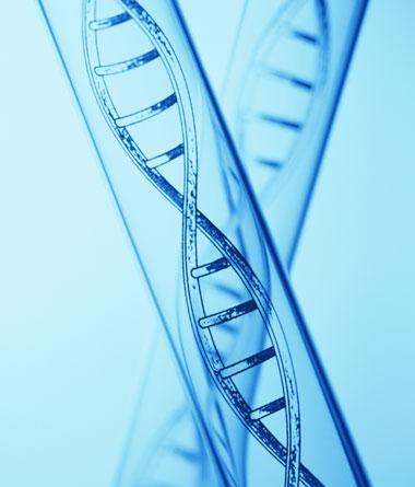 细菌间基因成功转移 人造生命可望制造