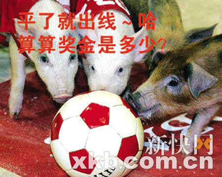 网友热议猪肉涨价 拉登国足成罪魁祸首(组图)