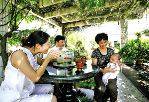 郑悦礼一家人常常在午后聚在阳台的紫藤花架下喝茶聊天.