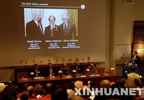 10月8日,瑞典卡罗林斯卡医学院宣布,将2007年诺贝尔生理学或医学奖授予(屏幕中从左至右)英国人马丁·埃文斯、美国人马里奥·卡佩基和奥利弗·史密斯,因为他们在改造活体内特定基因的“基因靶向”技术等方面做出了奠基性贡献。 新华社记者朱莲谊摄