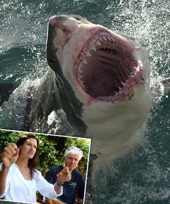 澳52岁妇女勇战鲨鱼鲨口逃生但右臂被咬伤图
