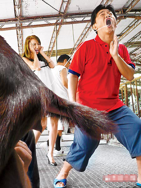 �����ܵı��黹������������Ƿ�