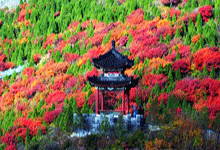 京郊秋景美如画