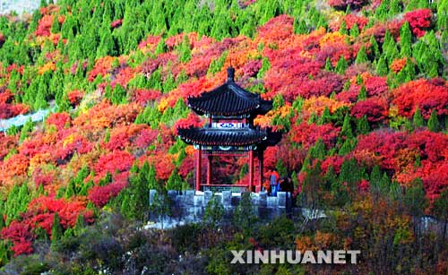 10��28�գ����������������ɫ�ʰ�쵣��羰�续�����գ�����һ��ҹ��ϴˢ��ı�����������£���ɫ��Ũ����ɫ���ˡ�