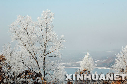 10月30日在黑河市卧牛湖畔拍摄的雾凇景观。 当日，黑龙江省黑河市在连续降雪后遭遇大雾天气，部分地区出现了雾凇景观。 新华社发(陈维奇 摄) 