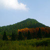 白马山—云端的顶
