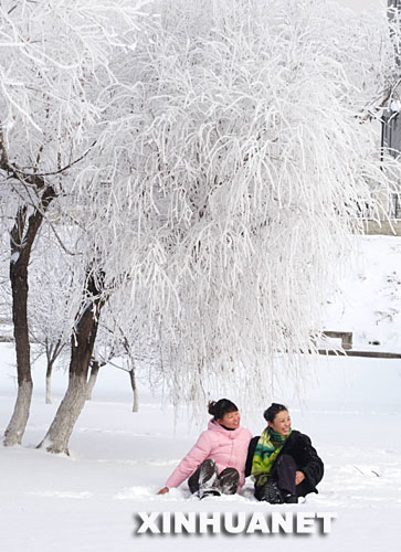 11月21日，两名女士在吉林市松江东路青年园拍照。