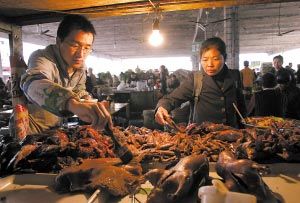 昨日,石桥铺,李晓勇在渝州交易城一家卤菜摊帮人卖卤菜 见习记者 梁杰 摄