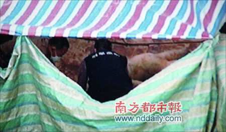 广州一邮寄纸箱惊现无头无脚<em>女尸</em>(图)_<em>女尸</em> 广