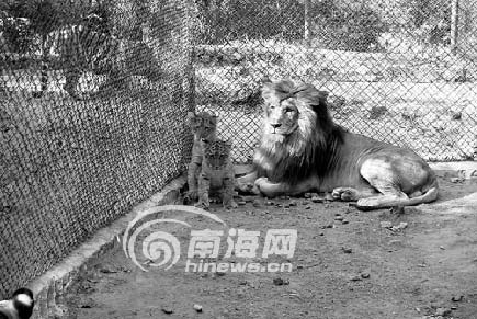 婴儿,世界上的怪胎,世界怪胎,世界上最怪的怪胎图片 ...