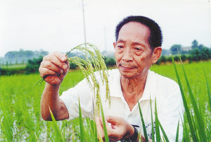 袁隆平