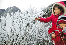 温州喜降新年第一场雪