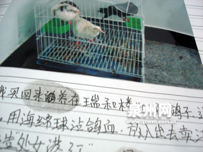 姐姐花言巧语骗妹妹“下水”