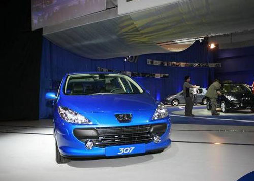 �����������307