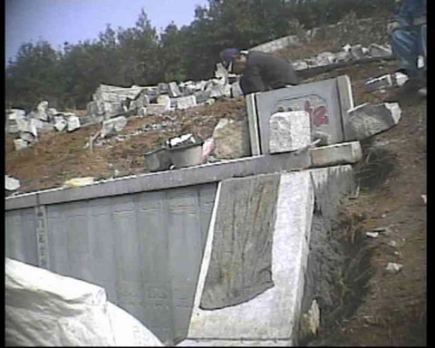 乱坟岗缘何在青山间蔓延?_青山白化_温州零距离_温州网