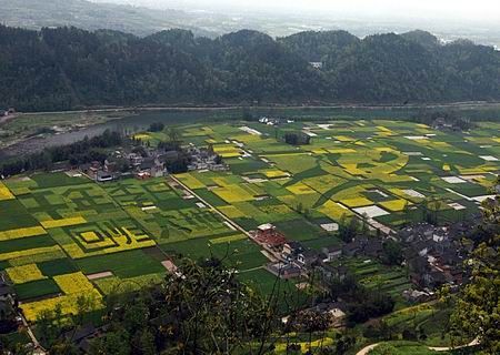 大地"油菜花期最盛之时天府早报4月8日报道江油市太平镇小匡山脚下