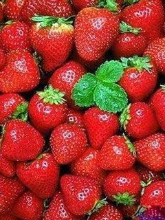 313173_981099.jpg