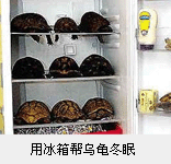 �ñ�����ڹ궬��