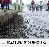 �Ĵ��������������󡼯��Ǩ��
