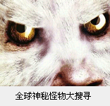 ȫ�����ع������Ѱ