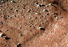 “凤凰”号拍摄的火星彩色图片