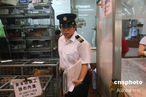 香港再次发现禽流感病毒 暂停进口内地活鸡_禽