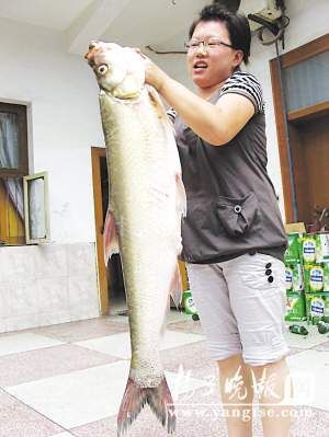 江苏男子钓到22斤大白鲥雨(图)__滚动新闻_温州网
