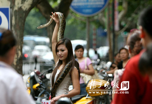 南京:美女当街与蟒蛇共舞[组图]