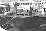 渔民抓紧整理捕捞工具