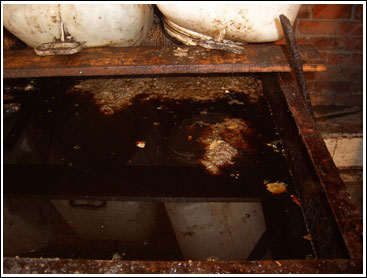 小工厂夜晚偷产地沟油 记者采访被打伤(图)