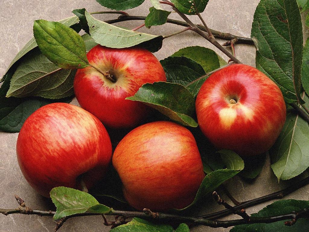 苹果皮上的蜡对身体有害吗？