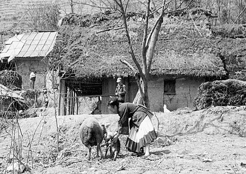 绝地求生的历史抉择(组图)_毕节地区 试验区 生