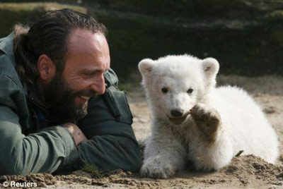 德国明星饲养员和北极熊感情故事