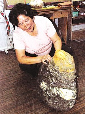 女子挖到47斤"太岁" 用刀砍涌出"猪油"(图)