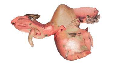 凶猛无敌:美国惊现罕见恐怖的蛇头怪鱼