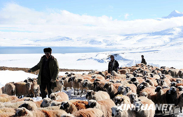 组图：西藏抗雪救灾“生命通道”被打开