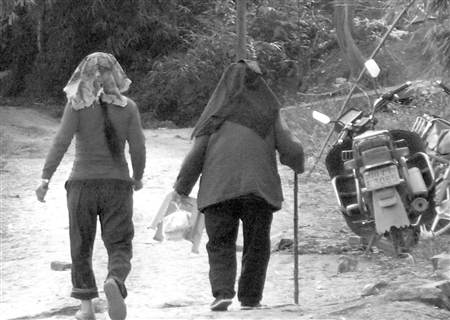 一家三口遭蜂蜇身亡 居民头顶衣服以防马蜂(图